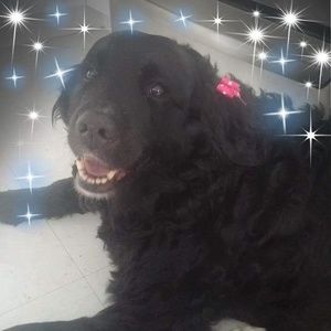 Meet your Posher, Jocelyne